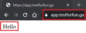 flask app with nginx and ssl