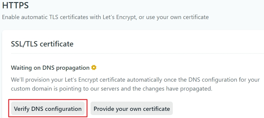 verify dns configuration